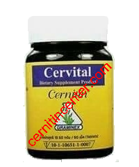 Cervital - สีม่วง